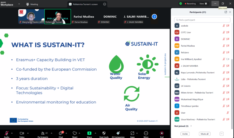 SUSTAIN-IT Webinar on Innovative Approaches to Sustainability Education ...